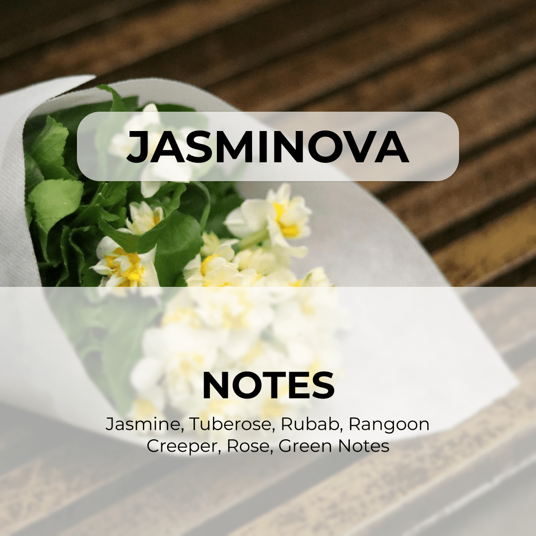 JASMINOVA - Image 2