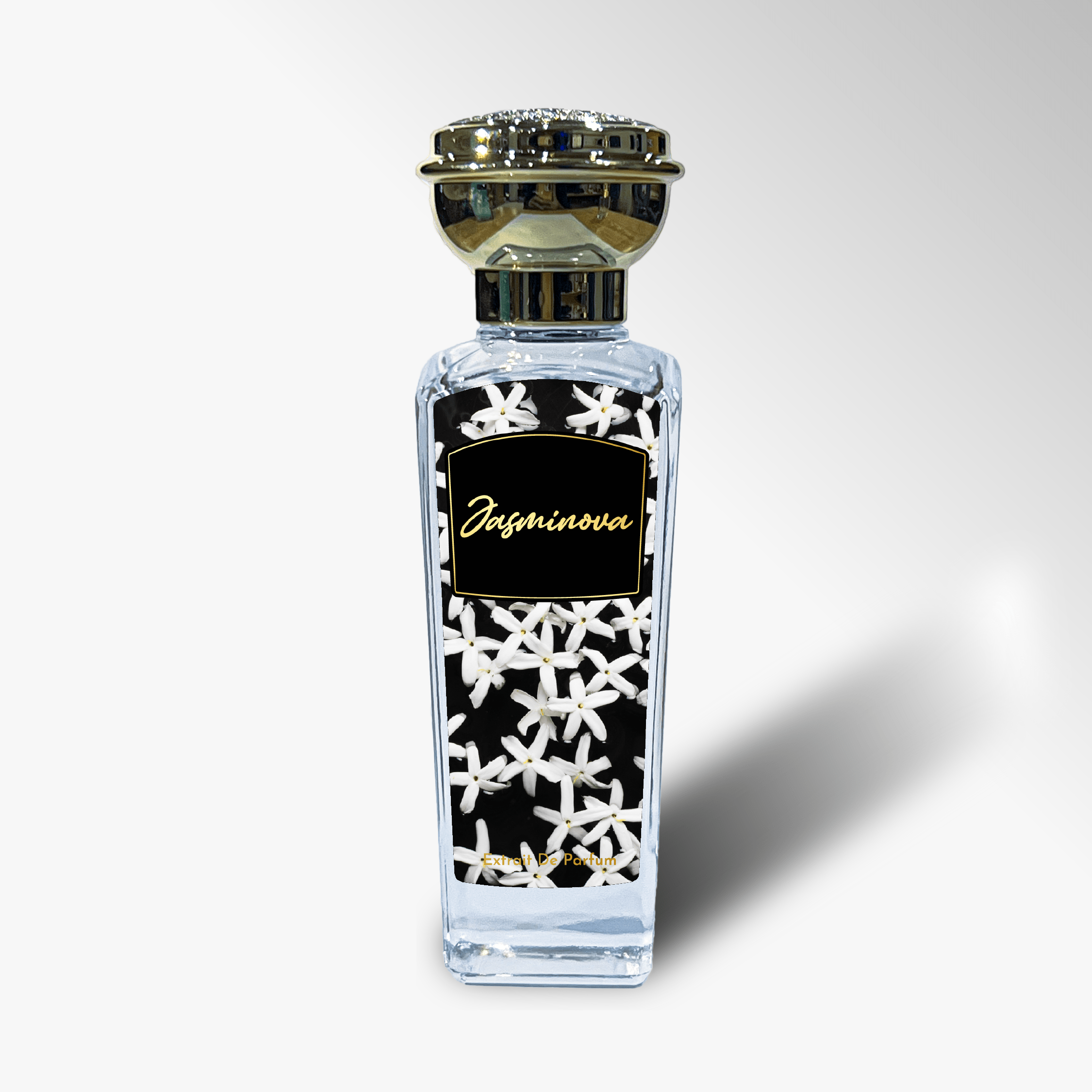 DT Perfumes